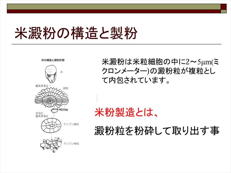 [[ kome1 ]]